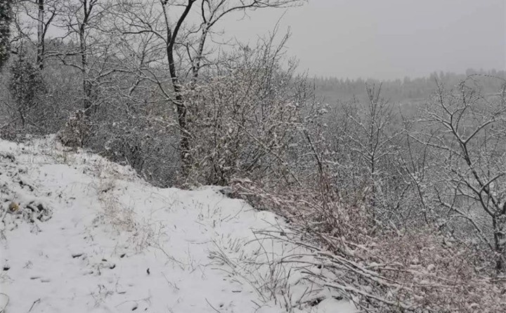 山東濟(jì)南的第一場雪