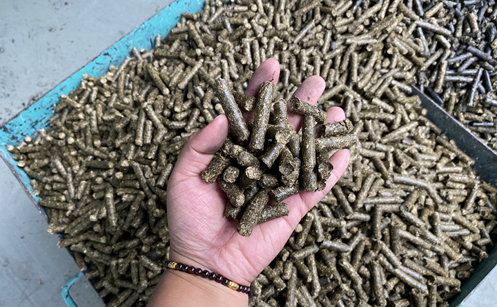 生物質(zhì)能源是天然的綠色燃料，燃燒后從原料再生到能源轉(zhuǎn)化，可全周期趨于碳的零排放。因此實(shí)現(xiàn)碳中和目標(biāo)，生物質(zhì)能大有可為