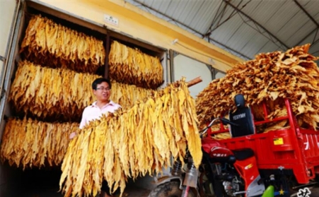 湖南藍(lán)山煙草：生物質(zhì)顆粒新能源烤房點(diǎn)“綠”成“金”